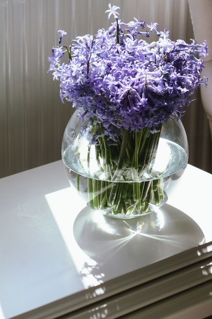A clear glass vase filled with a lush bouquet of fresh hyacinths and small purple flowers, arranged with green stems visible through the water. The bouquet features a mix of vibrant purple and lavende